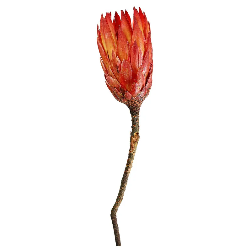3ks Prírodné Sušené kvety Červené Snehu Lotus pre Domáce Svadobné Xmax Dekor Kvety Pôvodné Nesmrteľný Fowers Doba Skladovania 2 Rokov