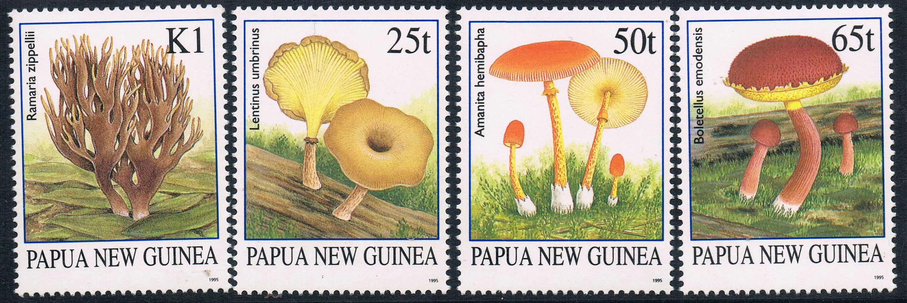 4Pcs/Nastaviť Nové Papua-Nová Guinea Post Pečiatka 1995 Húb, Plesní Pečiatky MNH